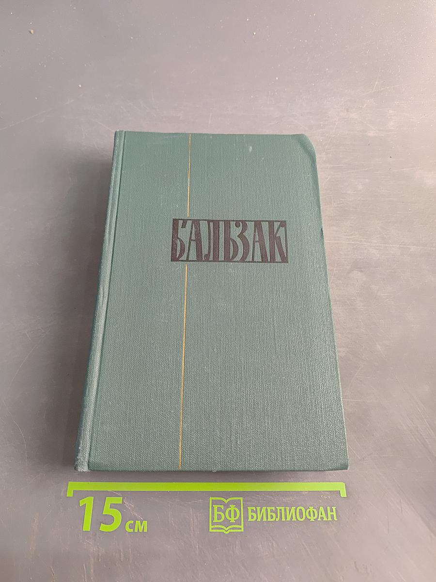 Человеческая комедия. Сцены парижской жизни. Том 10
