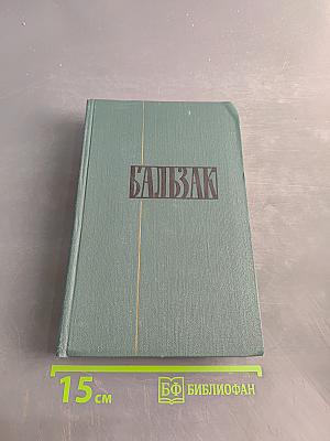 Человеческая комедия. Сцены парижской жизни. Том 10