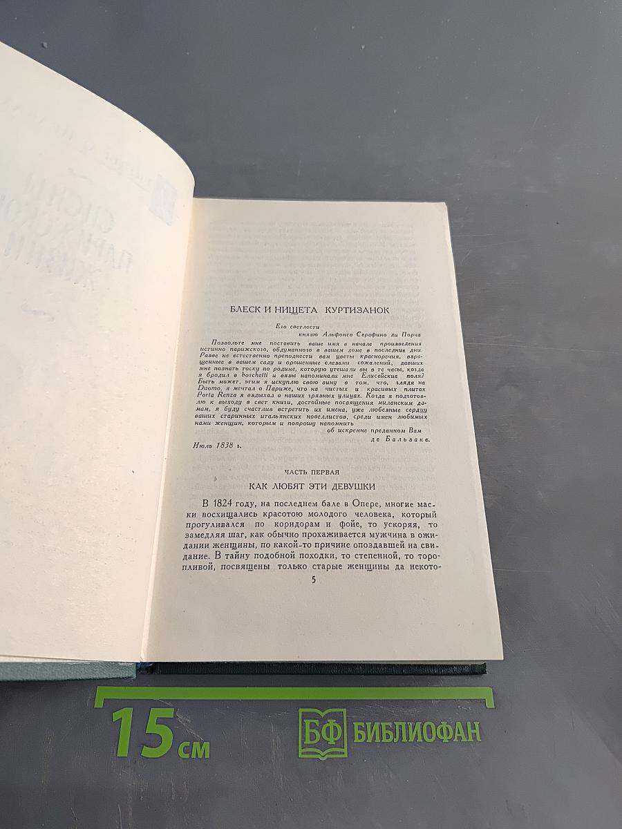 Человеческая комедия. Сцены парижской жизни. Том 10