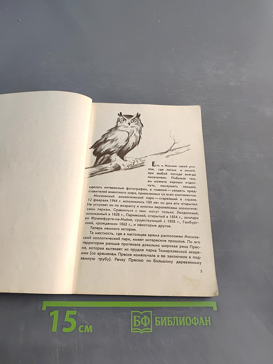 Среди зверей и птиц