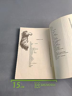 Среди зверей и птиц