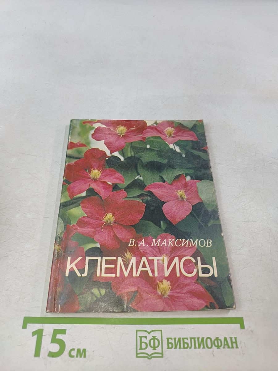 Клематисы