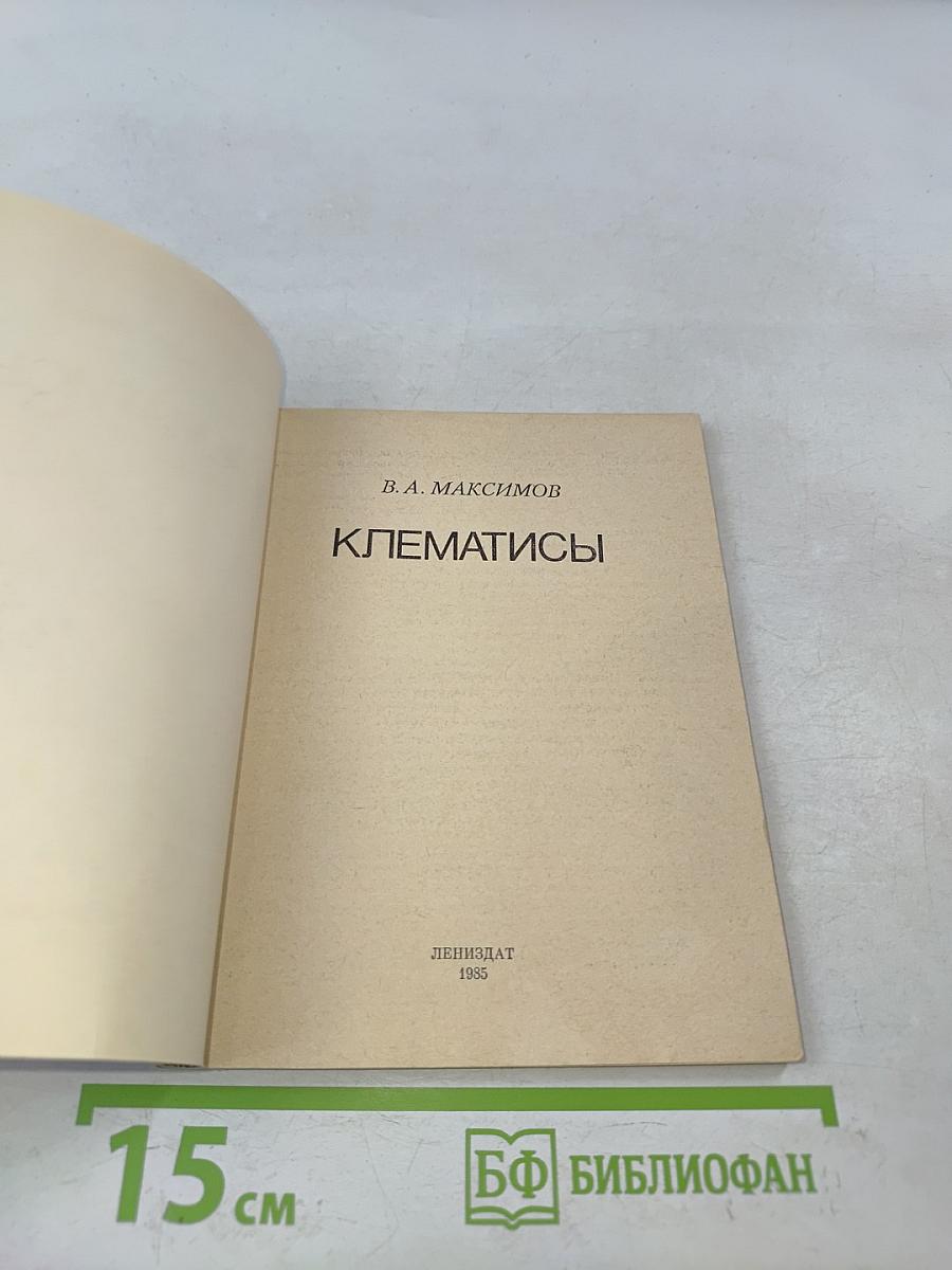 Клематисы