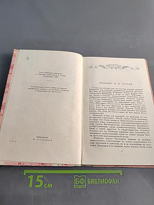 Ревизор