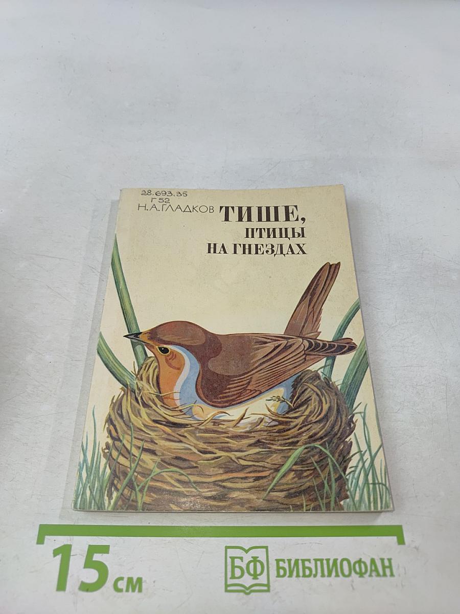 Тише, птицы на гнездах