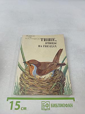 Тише, птицы на гнездах