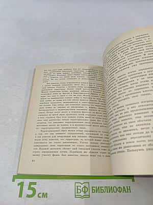 Тише, птицы на гнездах