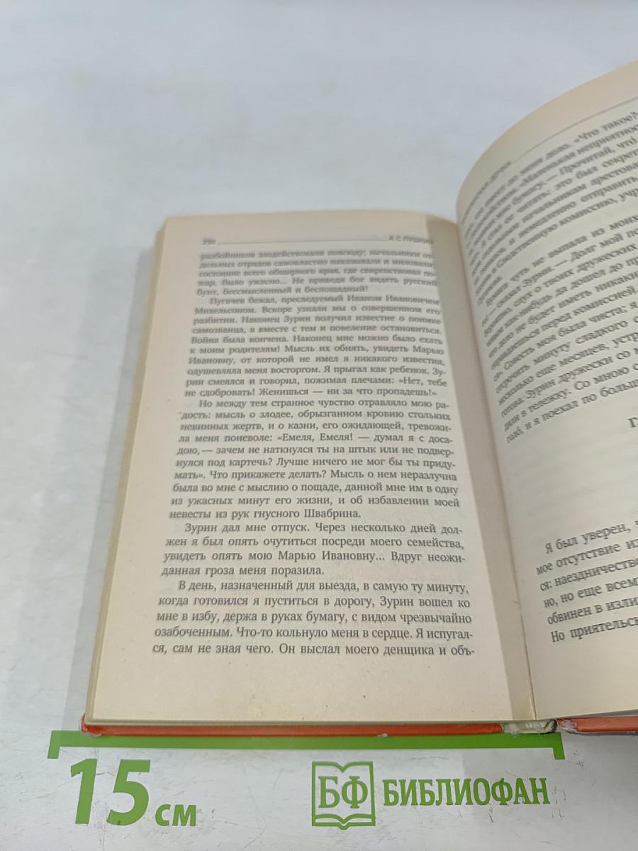 Капитанская дочка