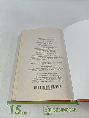 Капитанская дочка