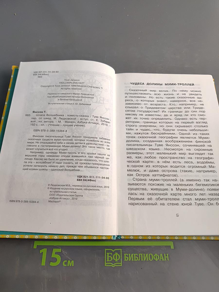 Шляпа волшебника