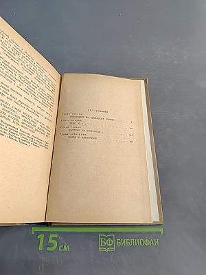Выстрел на Фонтанке