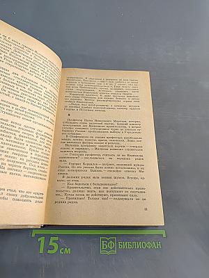Выстрел на Фонтанке
