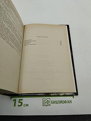 Ночь Вампиров