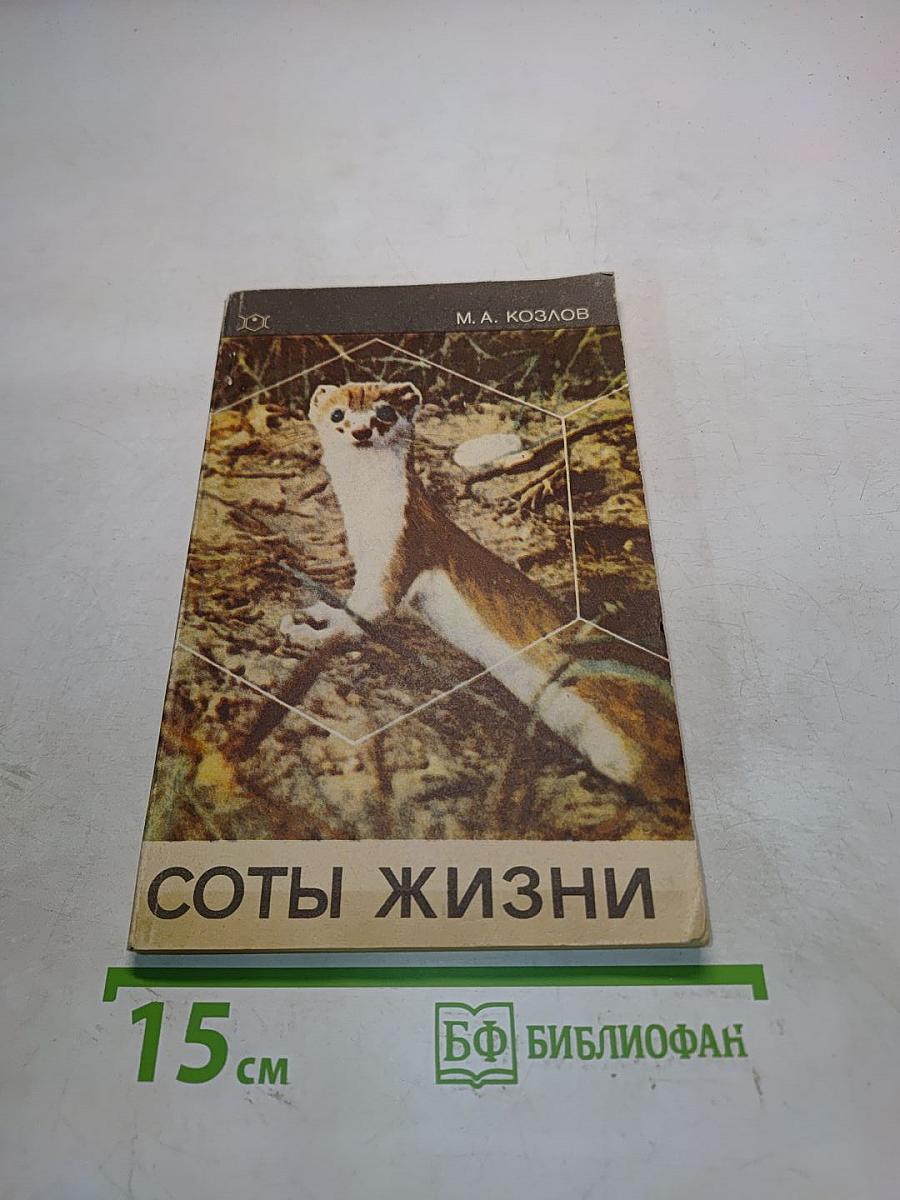Соты жизни
