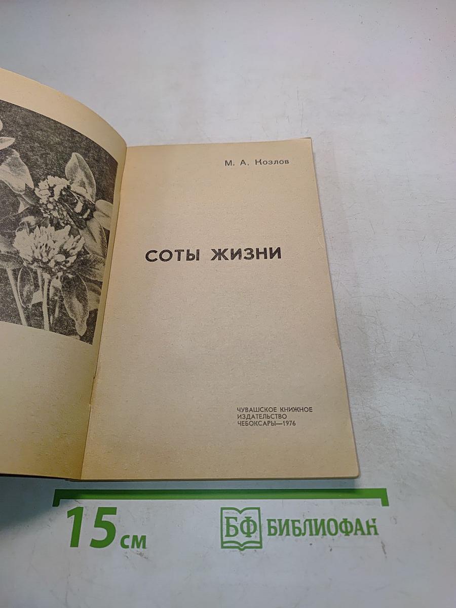 Соты жизни