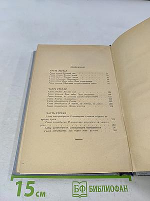Времена года