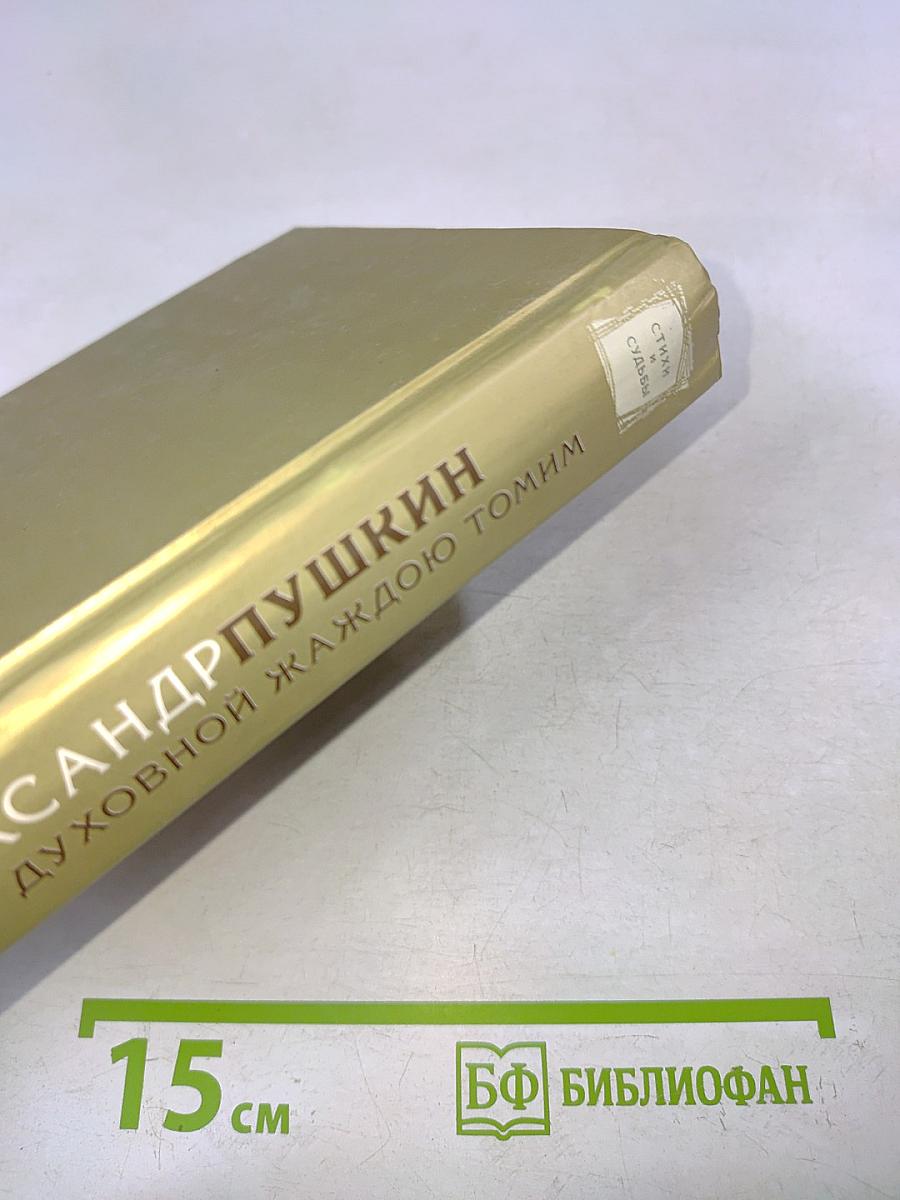 Духовной жаждою томим