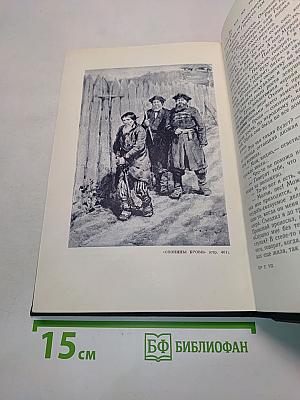 Три конца Охонины брови