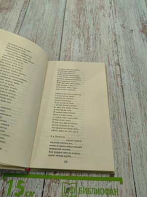 Собрание сочинений в 2-х т. Том 2. Поэмы. Письма, из дневников и записных книжек