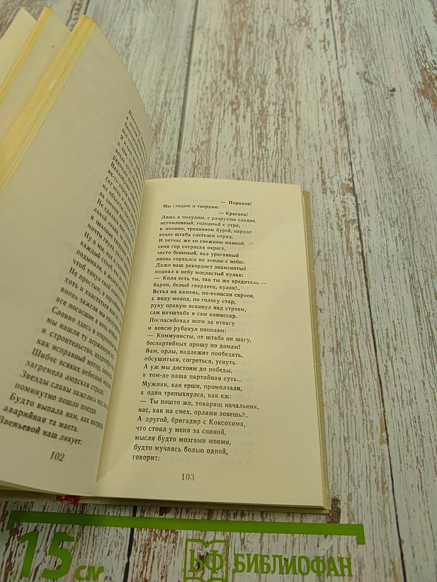 Собрание сочинений в 2-х т. Том 2. Поэмы. Письма, из дневников и записных книжек