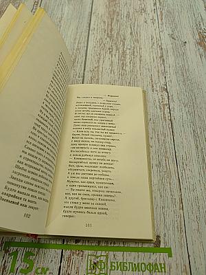 Собрание сочинений в 2-х т. Том 2. Поэмы. Письма, из дневников и записных книжек