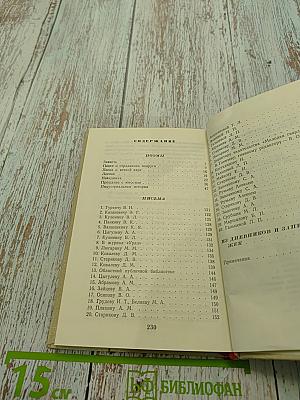 Собрание сочинений в 2-х т. Том 2. Поэмы. Письма, из дневников и записных книжек