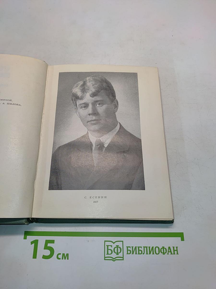 Собрание сочинений. Том четвертый. Проза. Статьи и заметки