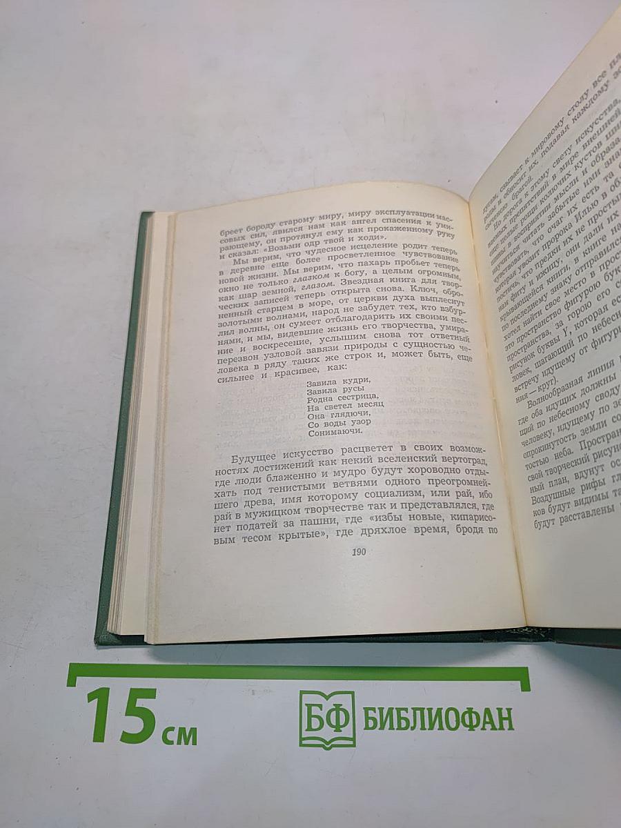 Собрание сочинений. Том четвертый. Проза. Статьи и заметки