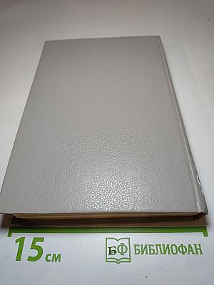 Кавалер Красного Замка