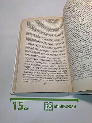 Русские: семейный и общественный быт