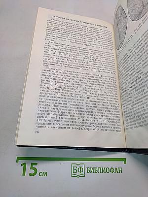 Форма и конструкция черепа