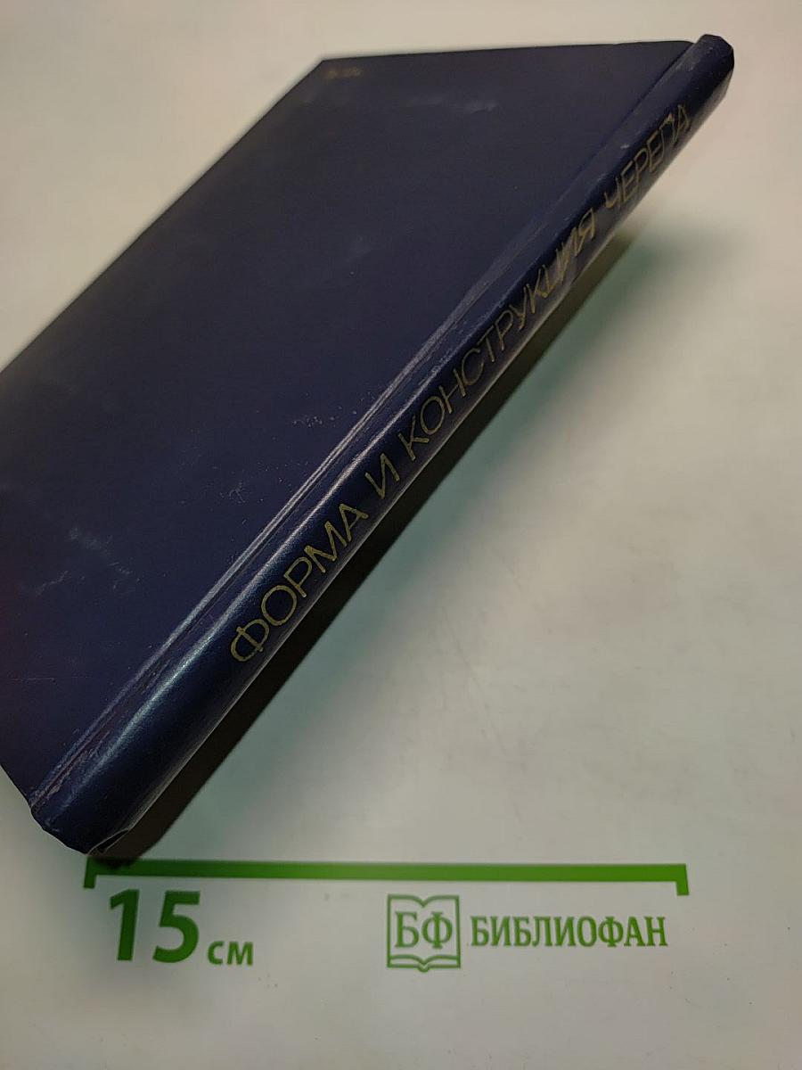 Форма и конструкция черепа