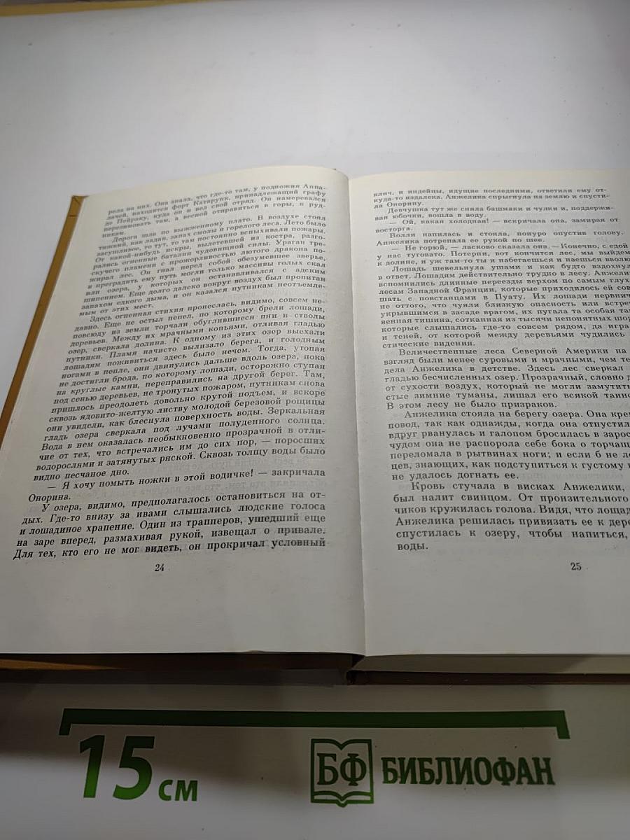 Анжелика в Новом Свете