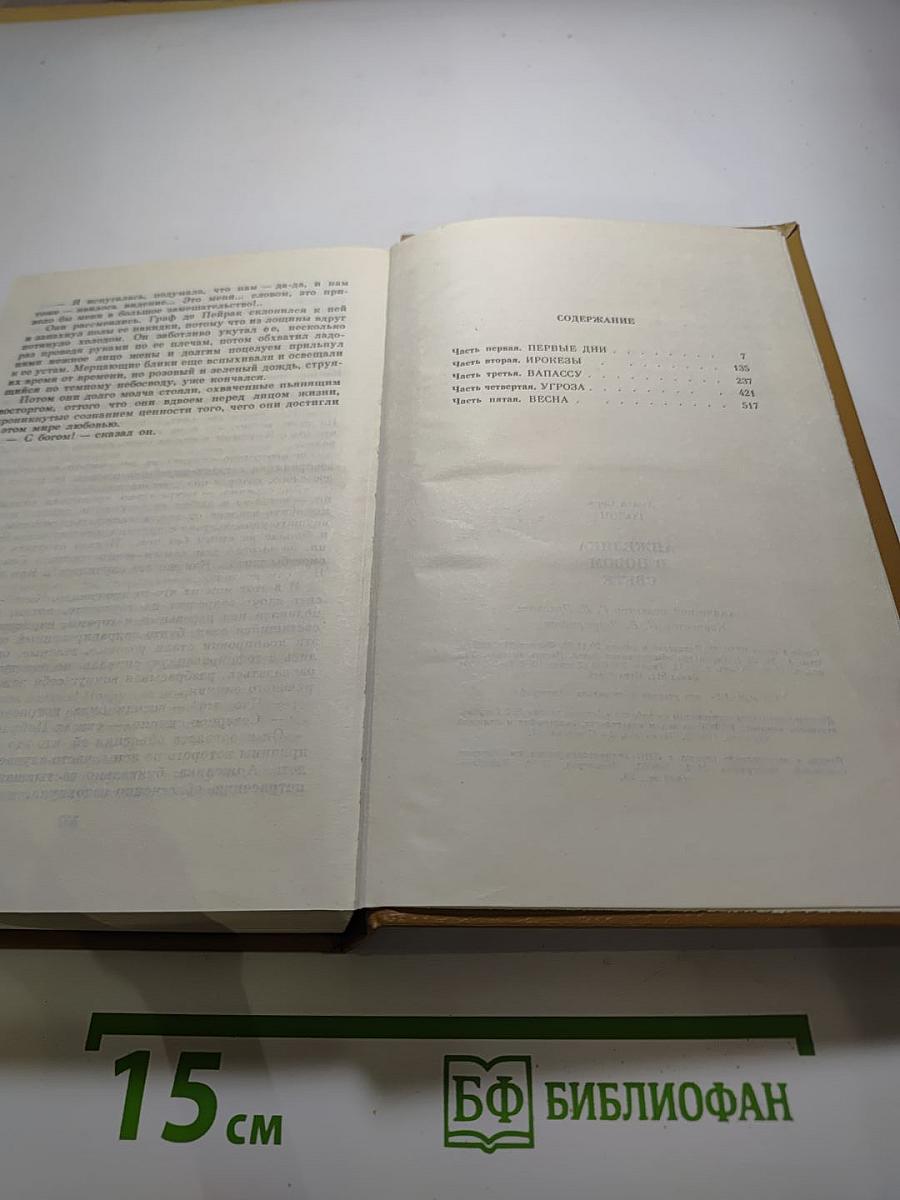 Анжелика в Новом Свете