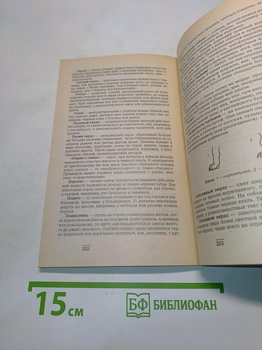 Кто есть «кто» среди собак