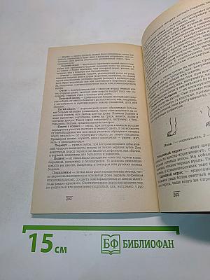 Кто есть «кто» среди собак