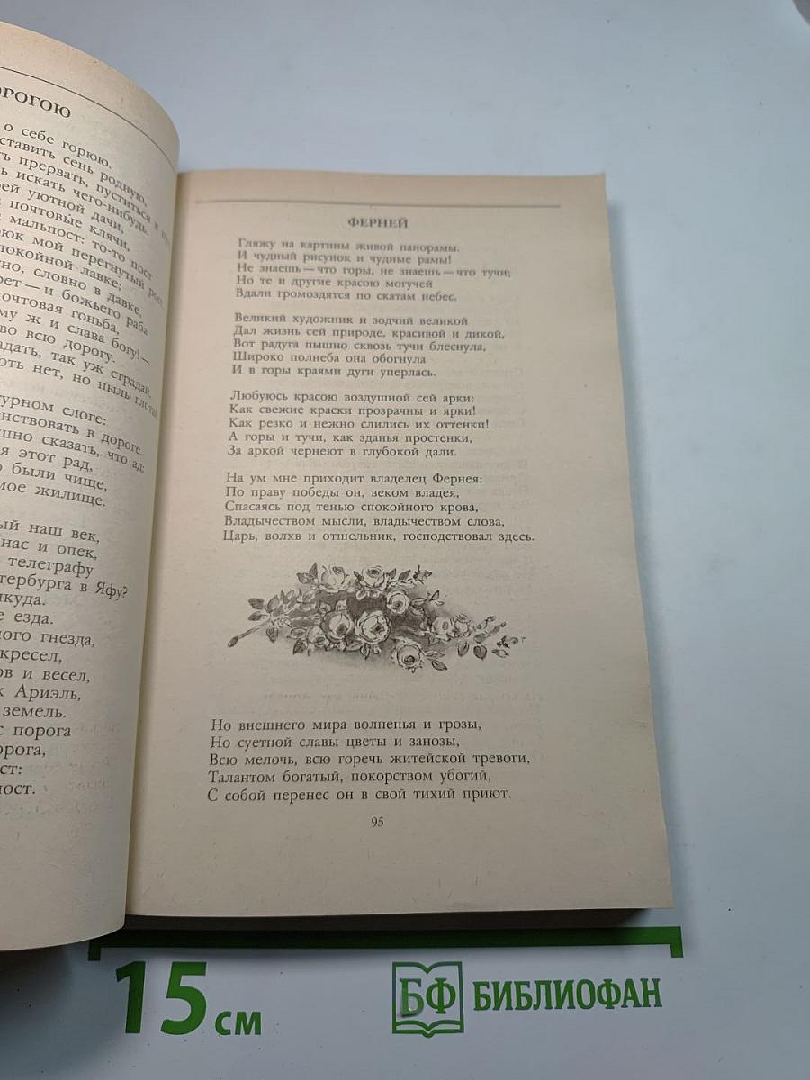 Стихотворения. Воспоминания. Записные книжки