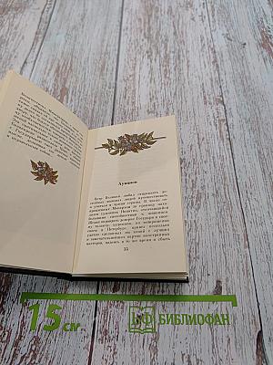 Царский шут Балакирев его проделки и забавы