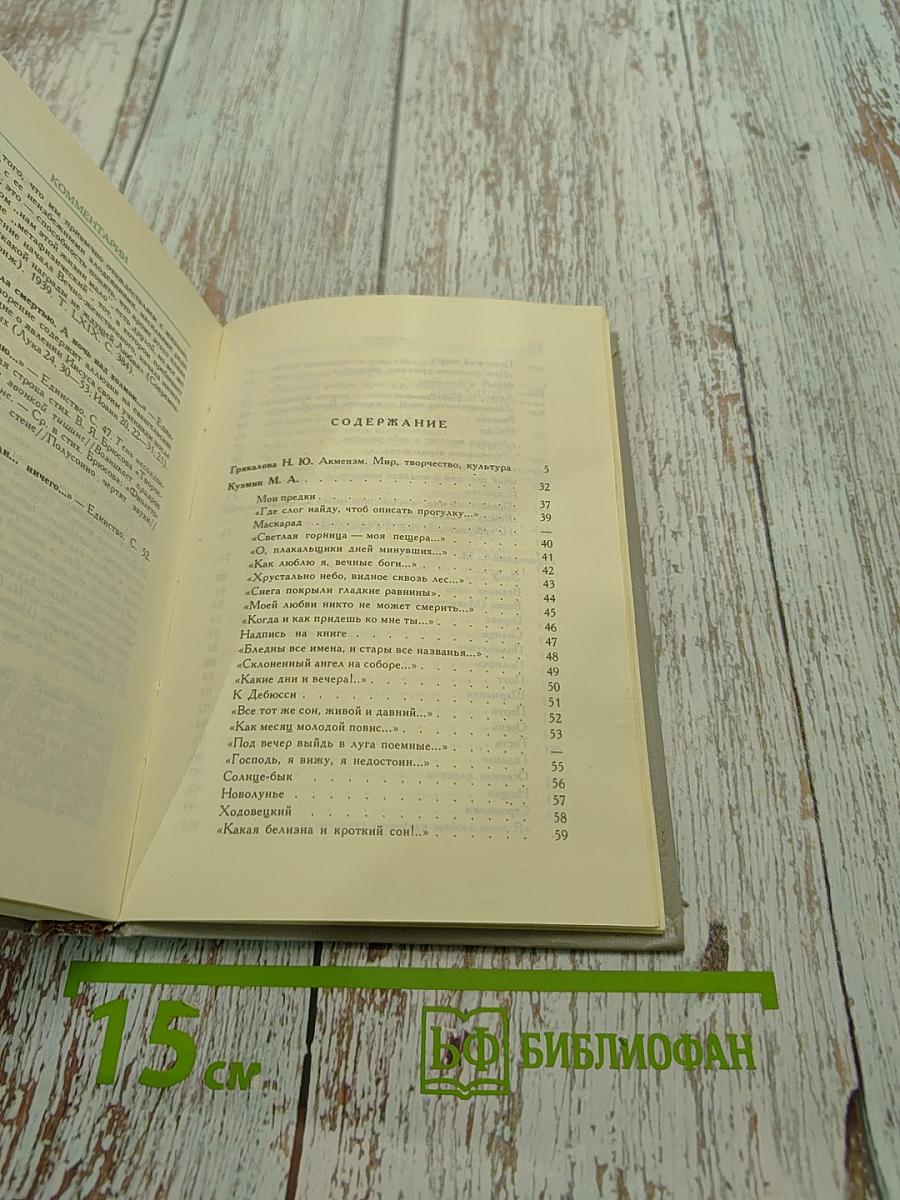 Русские поэты "Серебряного века". Том 2. Акмеисты