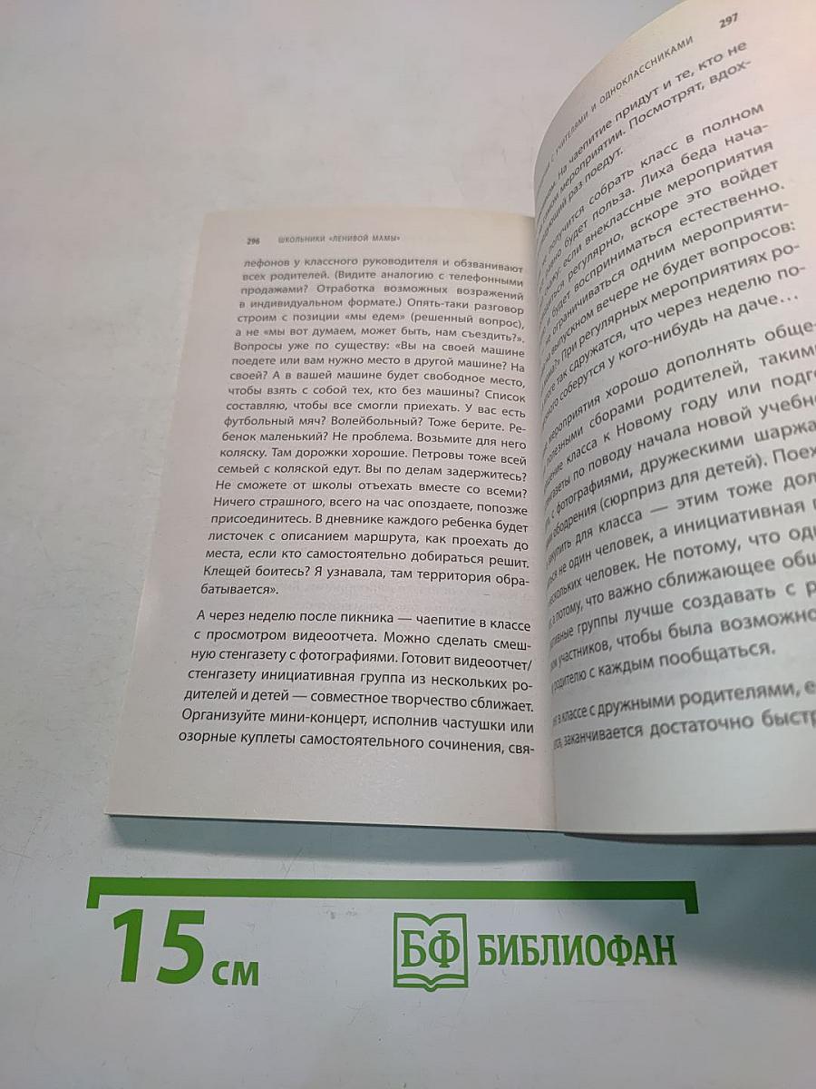 Школьники «ленивой мамы»
