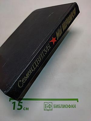 Мы вернемся. Книга первая
