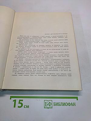 Маленькая энциклопедия о большой кибернетике