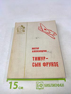 Тимур – сын Фрунзе