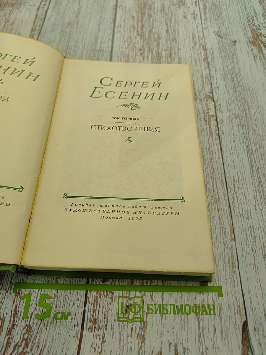 Стихотворения. Том первый