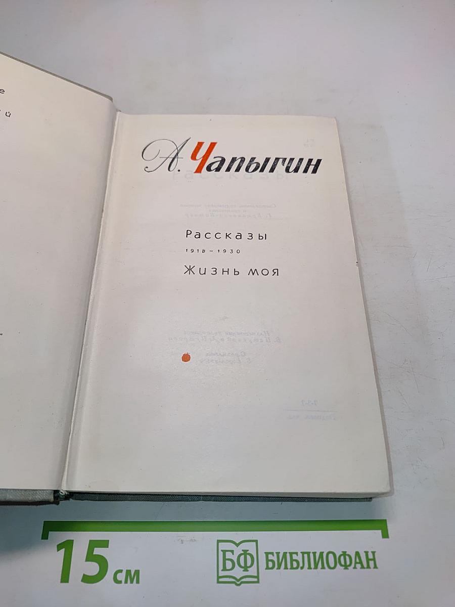 Рассказы. Жизнь моя. Том 2