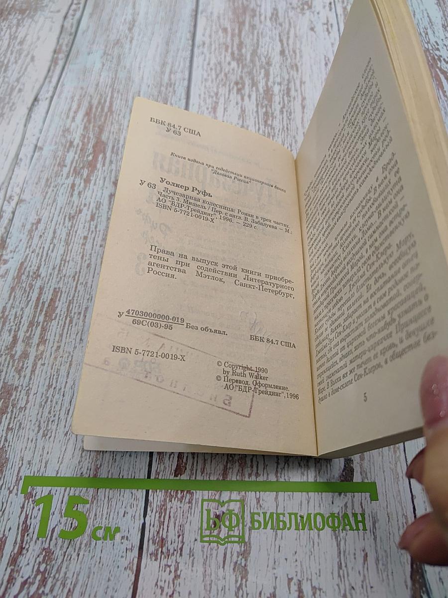Лучезарная колесница. Часть 3. Мишель