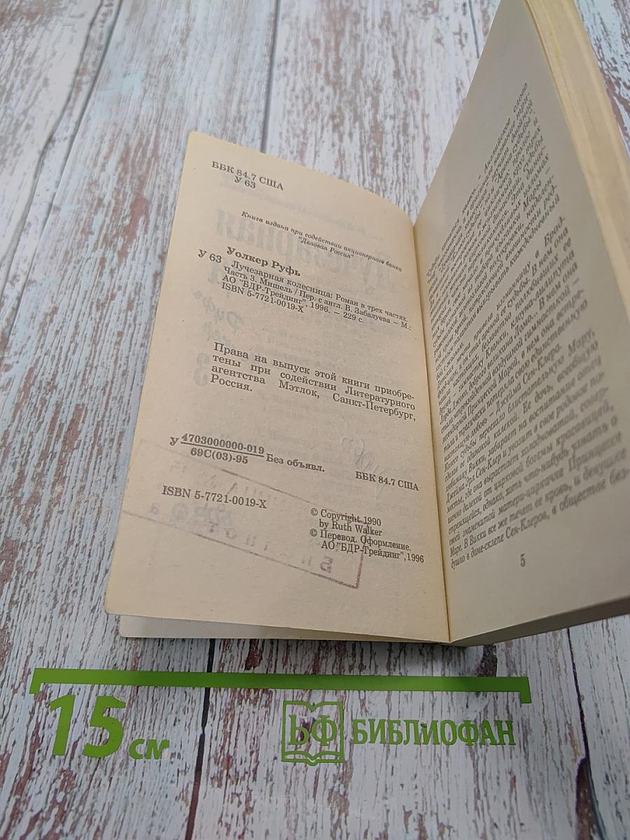 Лучезарная колесница. Часть 3. Мишель