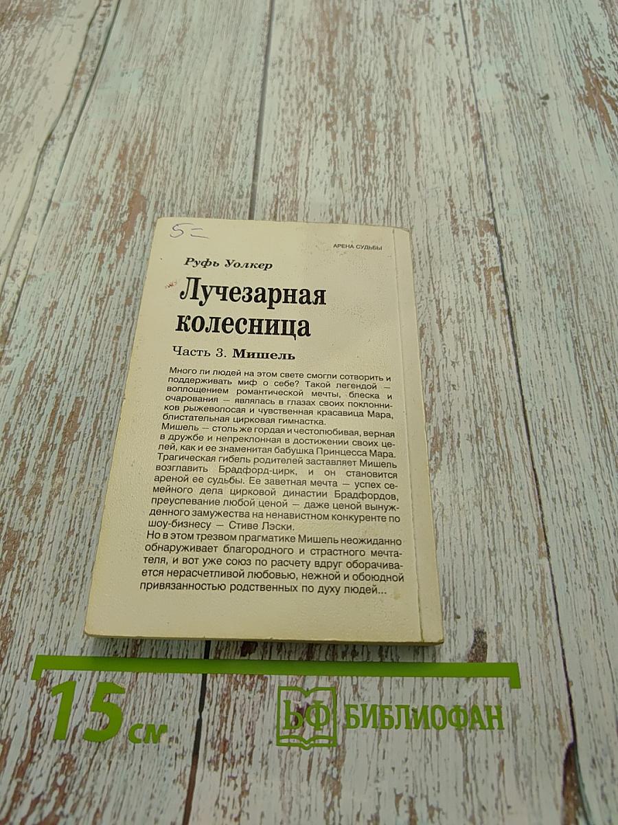 Лучезарная колесница. Часть 3. Мишель