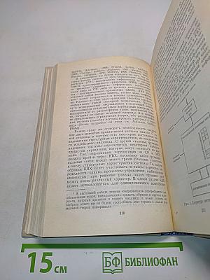 Человеческая память и процесс обучения