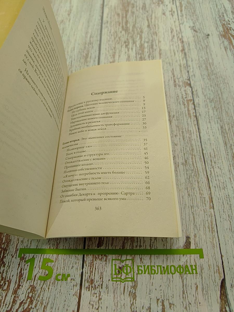 Новая земля. Пробуждение к своей жизненной цели